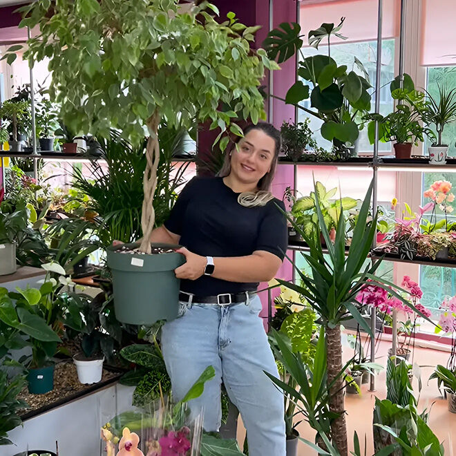 Топ-10 магазинов комнатных растений в Ростове-на-Дону - Я Покупаю