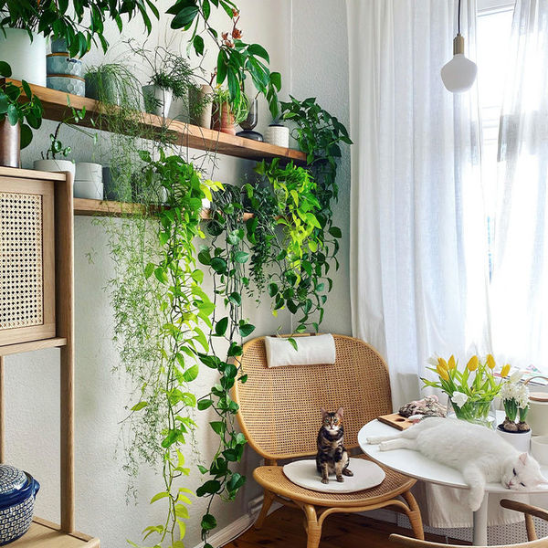 Дизайн квартиры в светлых тонах – фото интерьера и подборка товаров