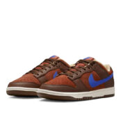 Мужские кроссовки Nike Dunk Low Retro Premium DR9704-200 фото 2