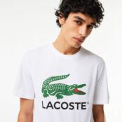 Мужская хлопковая футболка Lacoste