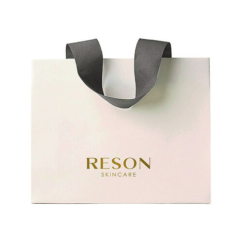 RESON Подарочный пакет Gift Bag RSN000012 фото 1