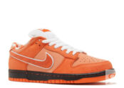 Concepts SB Orange Lobster Низкие кроссовки Nike FD8776800 фото 2