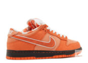 Concepts SB Orange Lobster Низкие кроссовки Nike FD8776800 фото 3