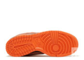 Concepts SB Orange Lobster Низкие кроссовки Nike FD8776800 фото 4