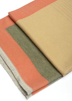 Многоцветный шарф с короткой бахромой (70*180) Elis
