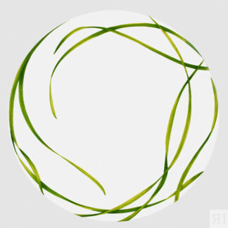 Тарелка обеденная Taitu Life In Green